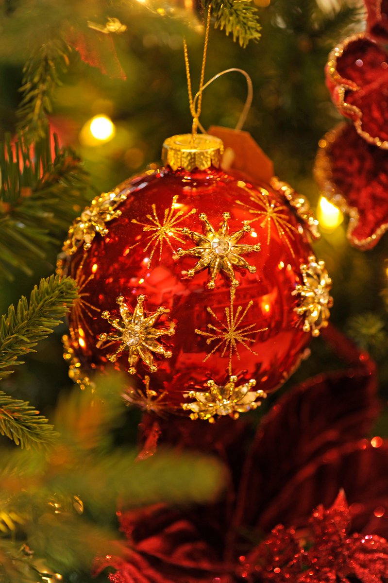 With just one week to go, if you are still stuck for that last minute present idea why not pop into Red Barn and purchase one of our gift vouchers.
 #giftvoucher #giftvouchers #giftvoucherideas #theperfectgift #theperfectgift #gardenlover #gardenlovers #gardenlovers💚