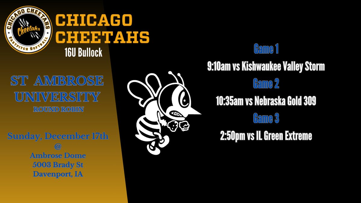 It’s been a while so time to get back on the field at The St. Ambrose RR this weekend! @SAUBeesSoftball @BoDomeBville @SbCheetahs 🐝⬆️