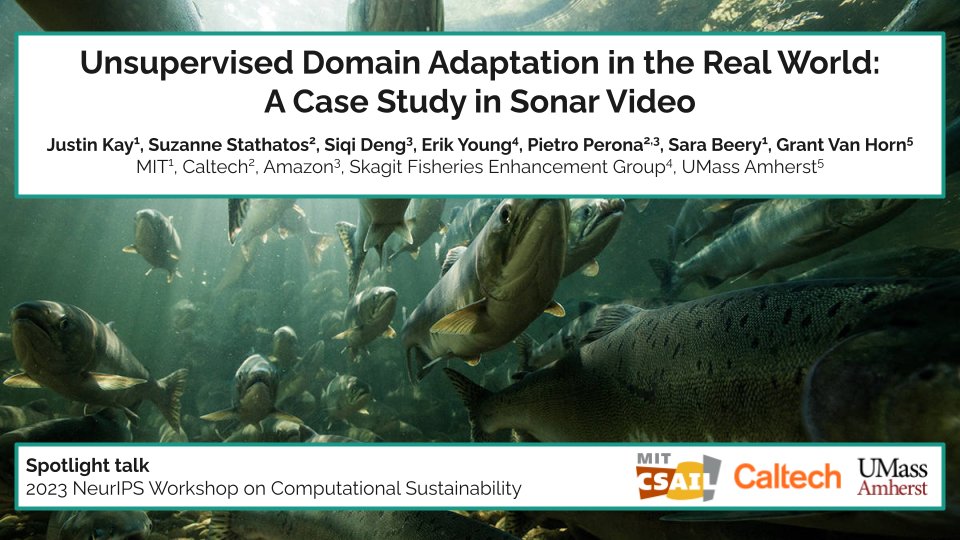 Justin Kay (@__justinkay) on Twitter photo Tomorrow I'm giving a Spotlight Talk at the <a href="/CompSustNet/">Computational Sustainability Workshop</a> workshop at #NeurIPS2023 about our work on domain adaptation for scalable automated fisheries monitoring. Would love to chat with anyone working on (or interested in) ML for conservation, sustainability, and climate! Tomorrow I'm giving a Spotlight Talk at the <a href="/CompSustNet/">Computational Sustainability Workshop</a> workshop at #NeurIPS2023 about our work on domain adaptation for scalable automated fisheries monitoring. Would love to chat with anyone working on (or interested in) ML for conservation, sustainability, and climate!