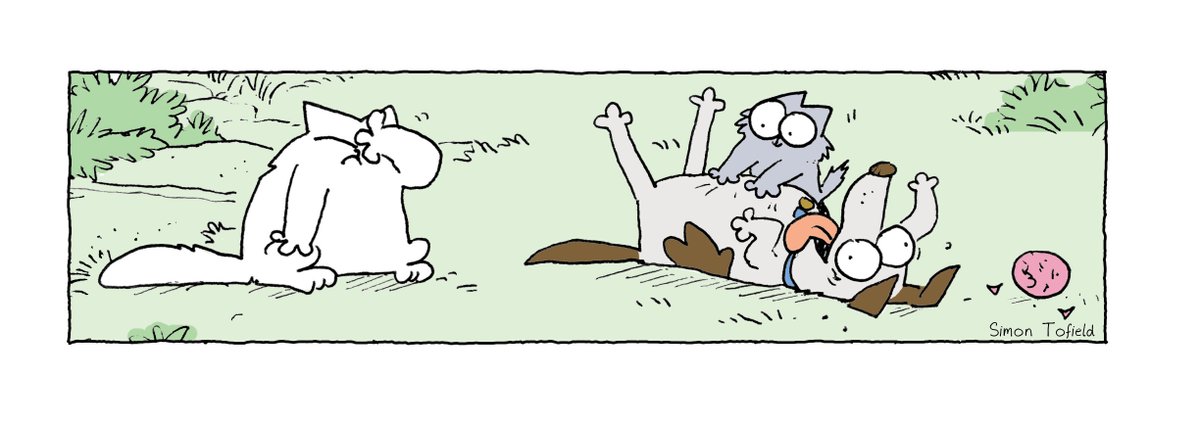 Simon's Cat 🐾 on X: not like that  / X