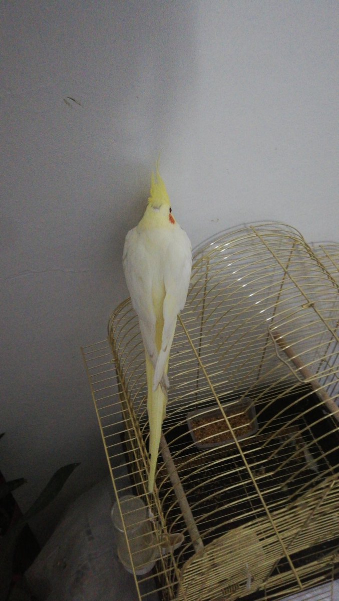 ışığı kapalı unutmuşum duvara dayanıp uyuya kalmış salak dodmspsksppss