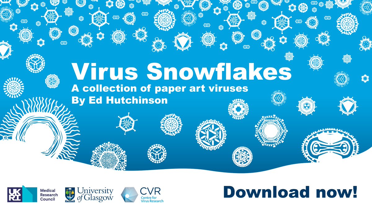 ❄️ Are you looking for a crafty virus-themed festive #activity? ☃️

Make your own decorative #virus snowflakes by downloading <a href="/CVRHutchinson/">Hutchinson Lab</a>'s amazing booklet! 

➡️ cvr-engagement.co.uk/virus-snowflak…

Virus-based educational resources and lesson plans also available on the webpage.