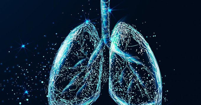 .@NIH_NHLBI:📢 Watching the #lungs work through a crystal ribcage: IMPRESSIVE! A major advance & important contribution to our strategic goals of understanding human biology & Reducing human disease. @NIH #NHLBI Read: go.nih.gov/XYHR2KK Video: twitter.com/i/status/17353…