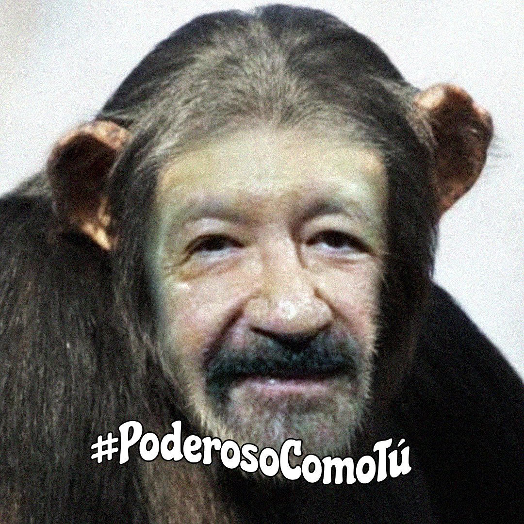 urbinawesome's tweet image. Máximo respeto a @eltalcha

 #PoderosoComoTú