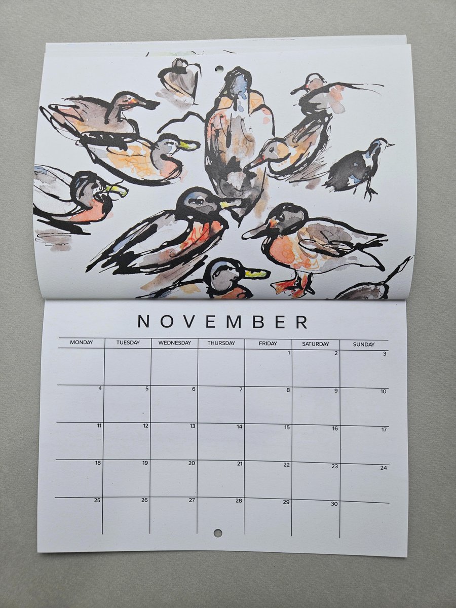I made a wee 'Beaches & Birds' calendar based on some of the ink drawings I made during the 100 Days Project Scotland this year. Now available in my Etsy shop for anyone who fancies one! Link in bio. Only £6.99 plus postage (choose express delivery for 1st class post!)