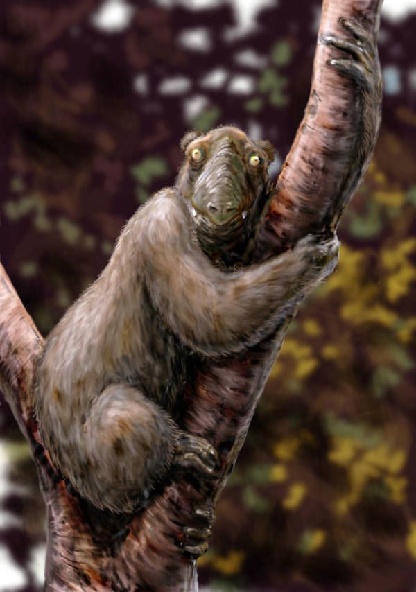 ❗️⚠️❗️ Earth Update ❗️⚠️❗️ 

- Bought back every species that y'all made extinct
      - Don't mess up this time