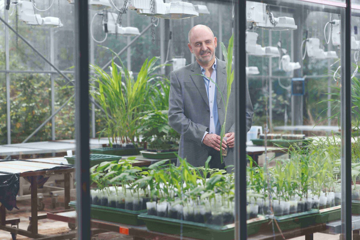 Biologist Ted Turlings receives this year's Marcel Benoist Swiss Science Prize. His research has shaped environmental science worldwide. Learn more: sbfi.admin.ch/sbfi/en/home/s…