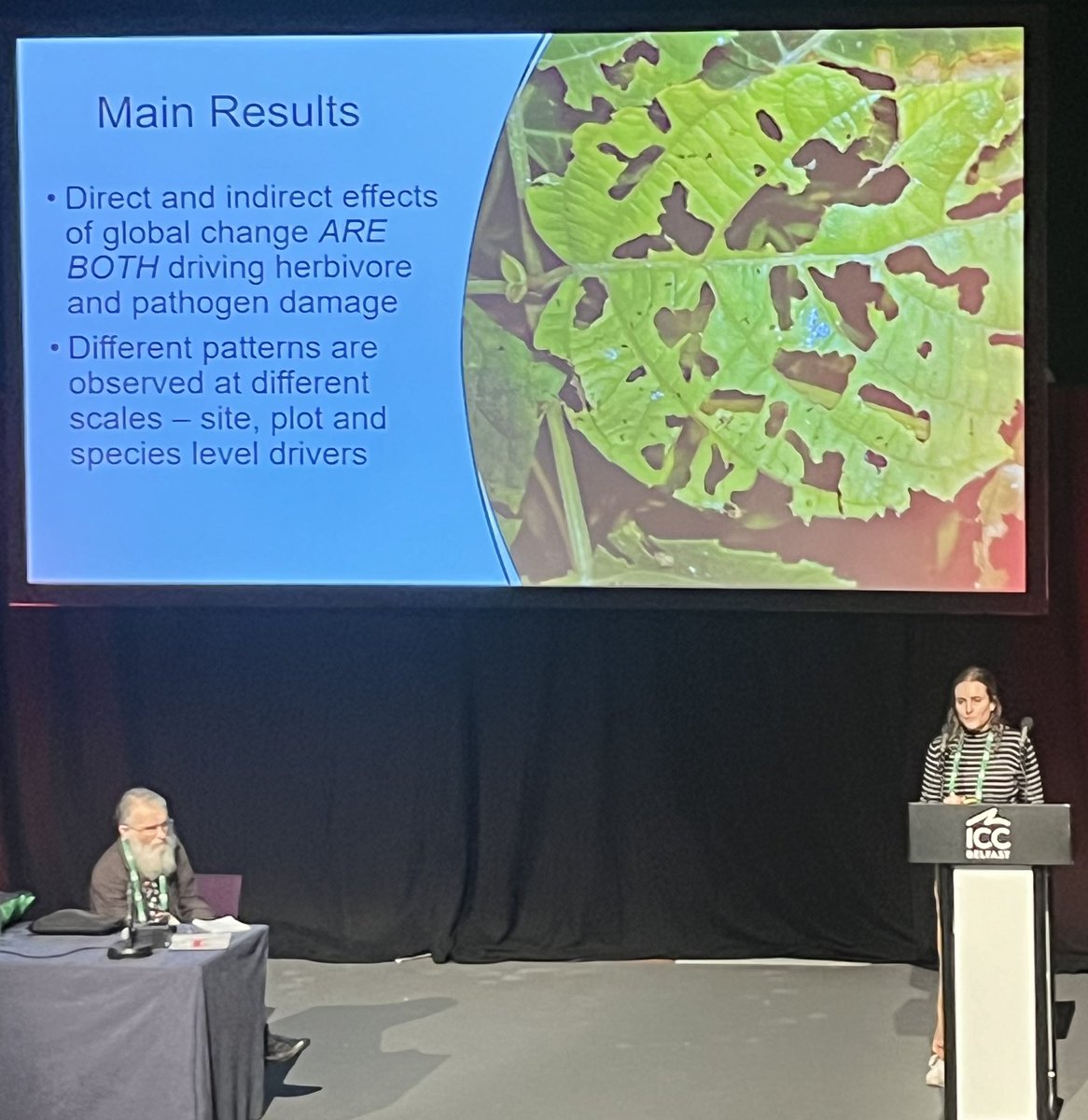 🎉Great talk by @SuzEveringham on the first results of the @BugNet_research: a global collaborative research network that aims to assess the impact of #invertebrate herbivores and pathogenic #fungi on #plant communities and ecosystems #BES2023 🌱🐛🍄 @AllanEcology @annekempel