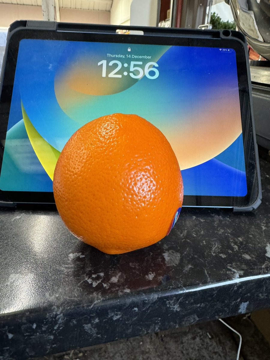 Get down to your Local Greengrocer for proper size Spanish Navel Oranges not like these Golf ball size supermarket ones 😂😂😂😂😂🍊🍊🍊