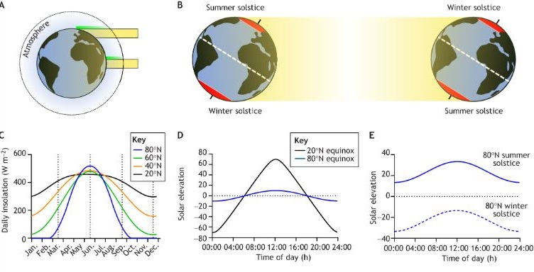 In their Review, Hazlerigg @ArcticSeasonal &amp; co discuss the impact of extreme cycles of solar illumination on the biological clocks of birds and mammals that spend all or part of their lives in the polar regions

journals.biologists.com/jeb/article/22…