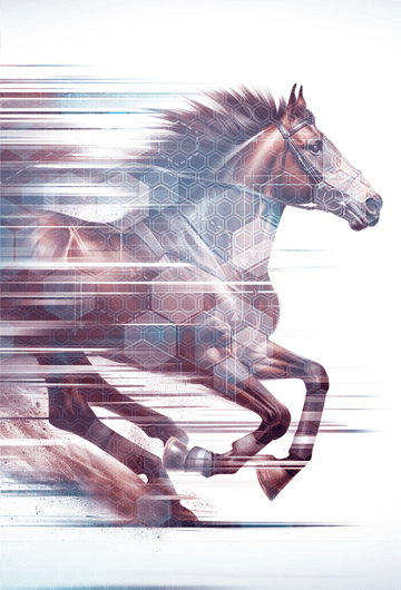 There is a new race coming very soon! Get ready for all new horse cards!
