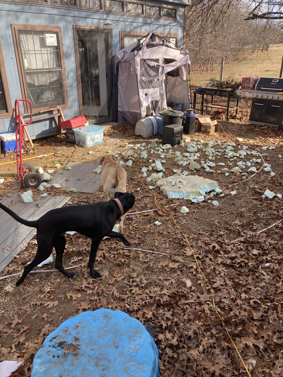 blvemt's tweet image. I’m out of energy and out of time going through all my stuff to get rid of it. So what do i walk out the door to now. Looks like they had fun while i was getting dressed.