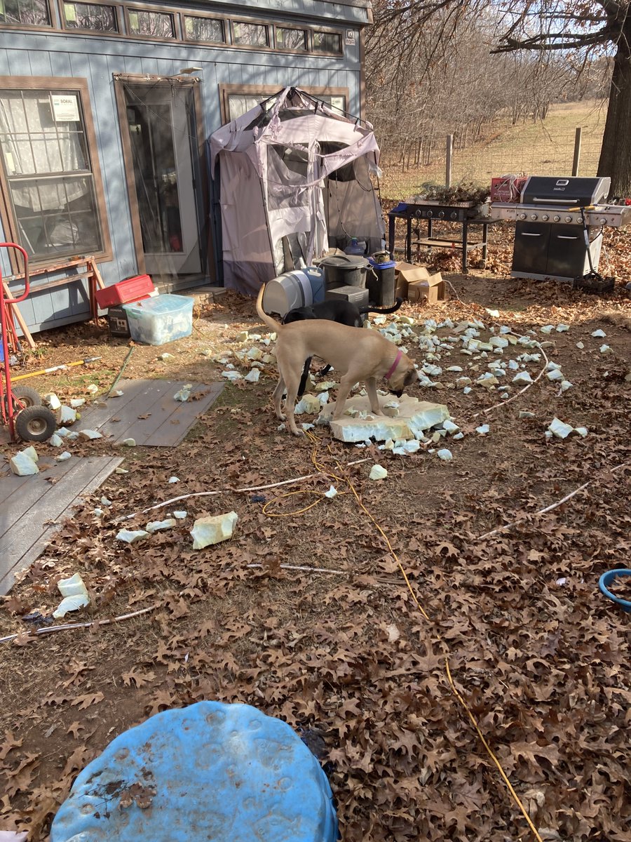 blvemt's tweet image. I’m out of energy and out of time going through all my stuff to get rid of it. So what do i walk out the door to now. Looks like they had fun while i was getting dressed.