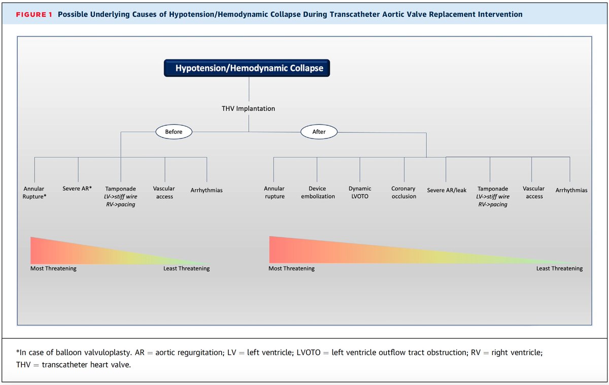 Severe hypotension before and after TAVI: a practical troubleshooting algorhithm with the special guidance of @m_taramasso and @sarano_maurice sciencedirect.com/science/articl…