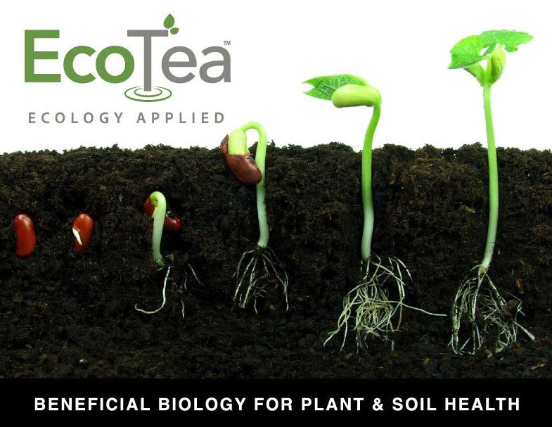 Did you know… #biological seed dressings can improve plant growth & resilience for your #crop in #plant24? Use #EcoTea seed to soil health package to improve plant health & replenish your soil with #beneficial #microbes to 📈 #soilhealth on the farm and improve your #bottomline!