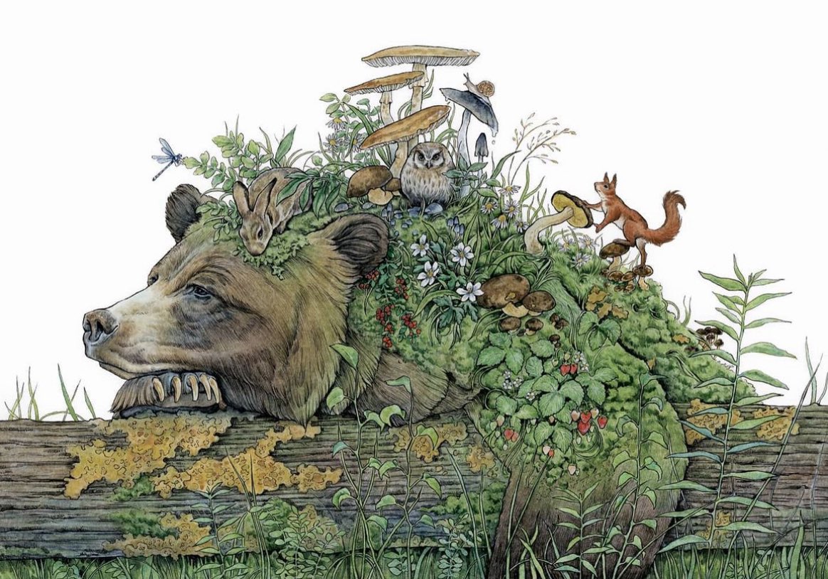 sadderlizards's tweet image. in my long slumber i was reclaimed by the forest