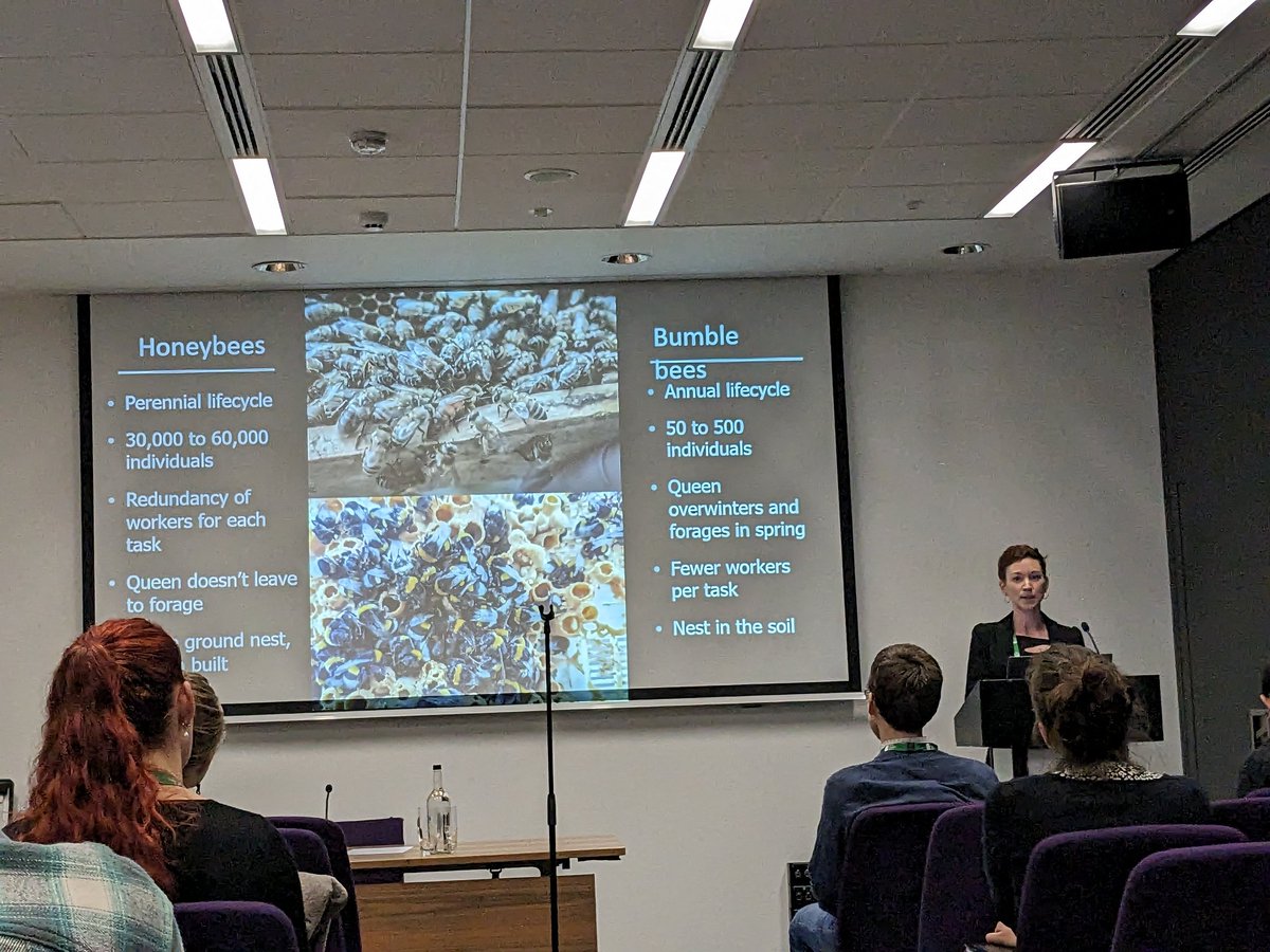 Even under "Safe" concentrations of heavy metals, wild bumblebees are accumulating significant quantities of Cadmium above background levels - really exciting work by Sarah Scott @SBS429 #BES2023