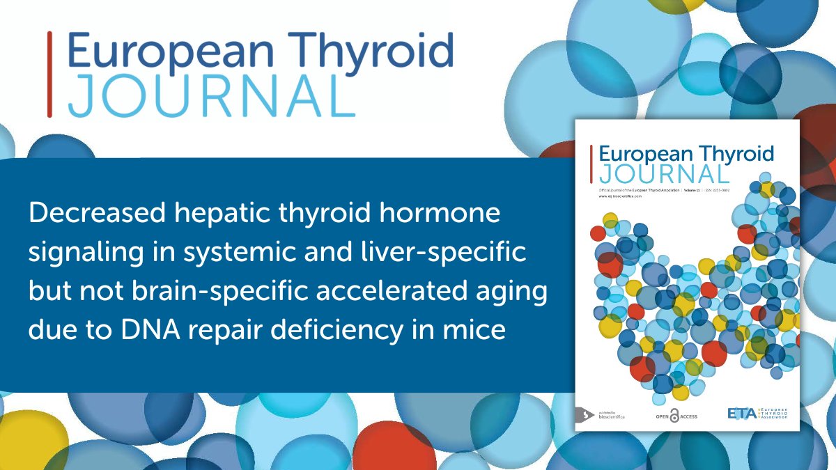 Recent research by Sander Barnhoorn et al. @erasmusmcintl indicates that hepatic #thyroid #hormone signaling is changed during #aging via tissue-autonomous and nonautonomous ways. Explore the #openaccess article 👉 ow.ly/AkhR50QgRir