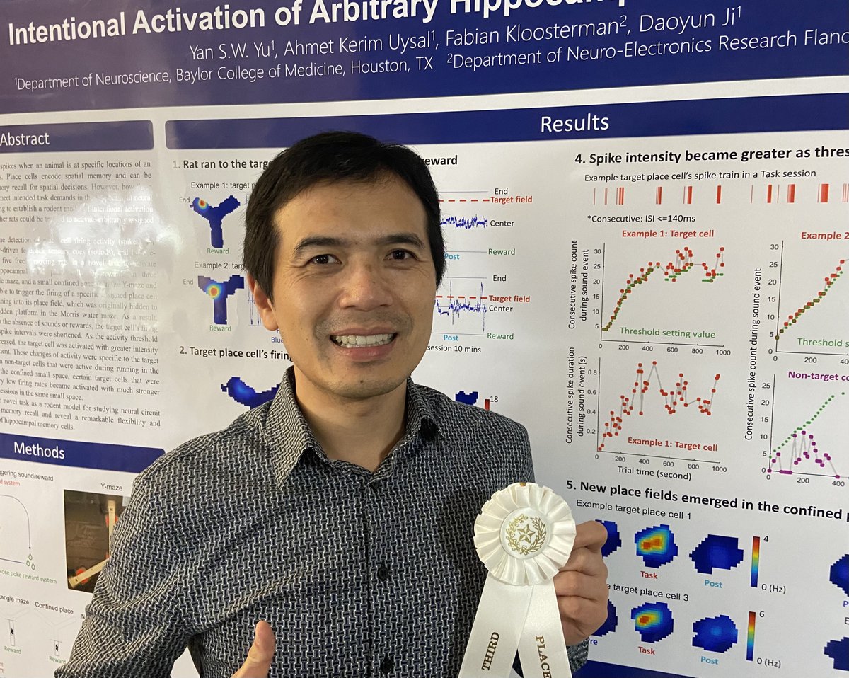 bcm_neurosci's tweet image. Dr. Yan Yu, #neuroscience Post-doc in @DaoyunJi Lab, won 3rd place at the 29th Annual Neuroscience Poster Session that was held on Saturday, December 2, 2023, at UTHealth Cooley University Life Center in Houston, TX! Congrats! #systemsneuroscience