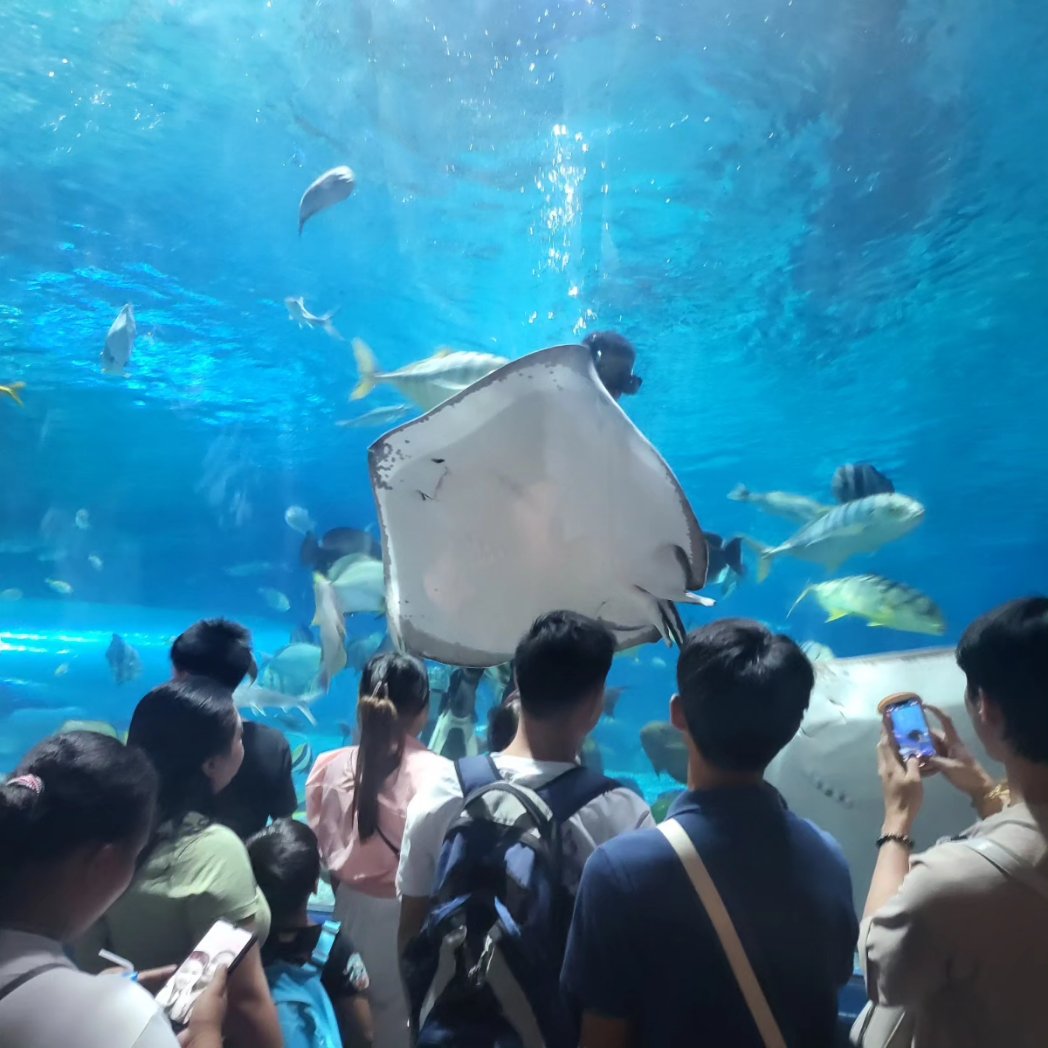 iopphilippines's tweet photo. Things to do in Manila for the whole family. We promised our daughter we'd take her to Ocean Park 6 years ago. It took a while,  but promise fulfilled and a super happy daughter.😀
#thingstodoinmanila #oceanpark #travel #Manila #Philippines #IOP https://t.co/KCXaeAvfrO