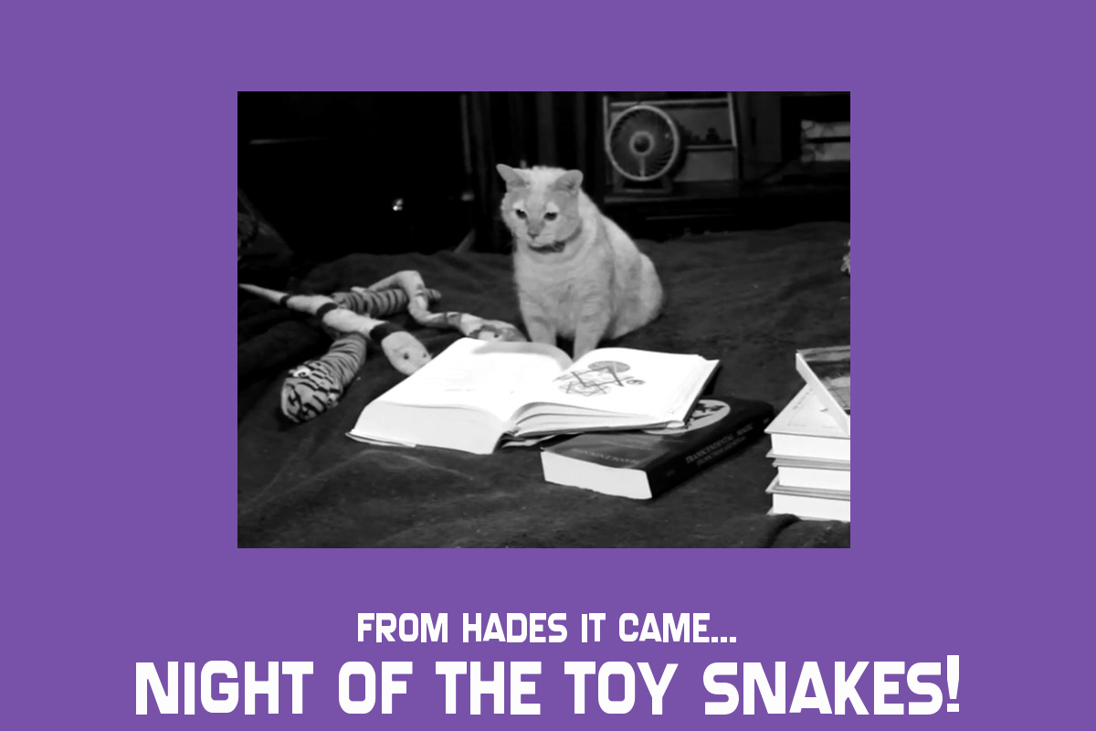 FROM HADES IT CAME: Night of the Toy Snakes

Available for free on Youtube - youtu.be/Pps2bGipEOM

#rogue #chimera #films #film #movie #movies #horrormovie #horrrormovies #horrorgenre #independentfilm #indyfilm #independenthorrror #indyhorror #screenplay #screenwriter #writer