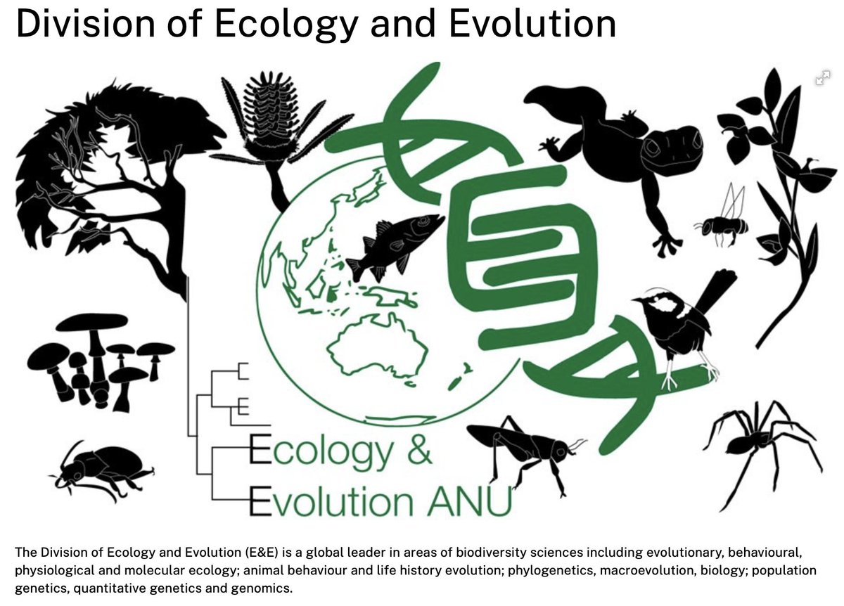 Interested in doing a PhD in ecology, evolution or conservation? Are you a high achieving Australian or New Zealand student (Australian or New Zealand citizen or permanent resident)? The Division of Ecology &amp; Evolution at ANU have some domestic PhD scholarships available.