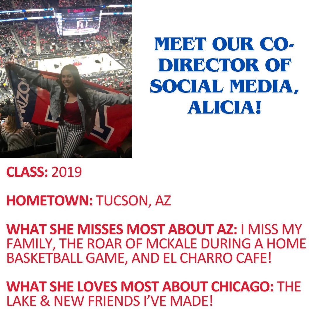 WindyCityCats (@windycitycats) on Twitter photo 