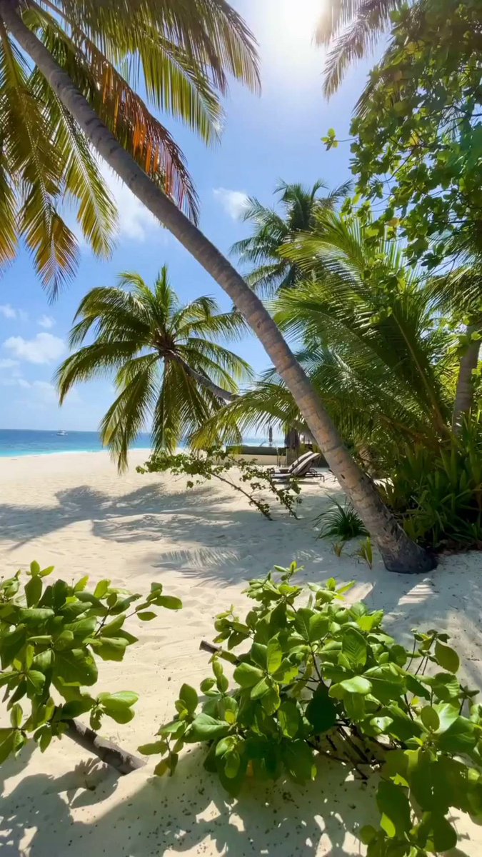 The ᠎spring ᠍water  is ​tinkling, ﾞthe ⳿breeze is ⳿like ⬝water, ᠍the ᠎white clouds ﾞare dotted, and  the ᱸblue ⬝sky is like ﾞwashing.