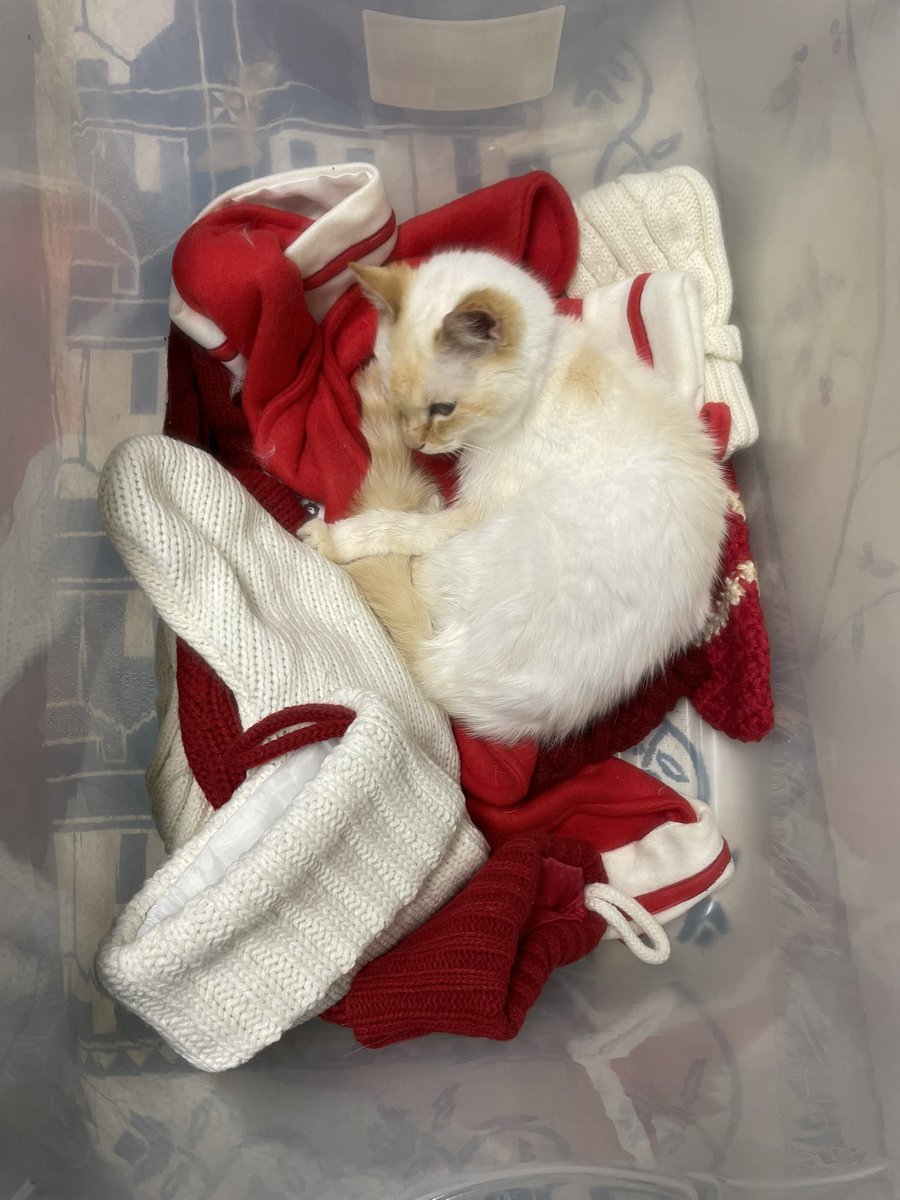 jilly!!! (@jillyaaaaa) on Twitter photo 