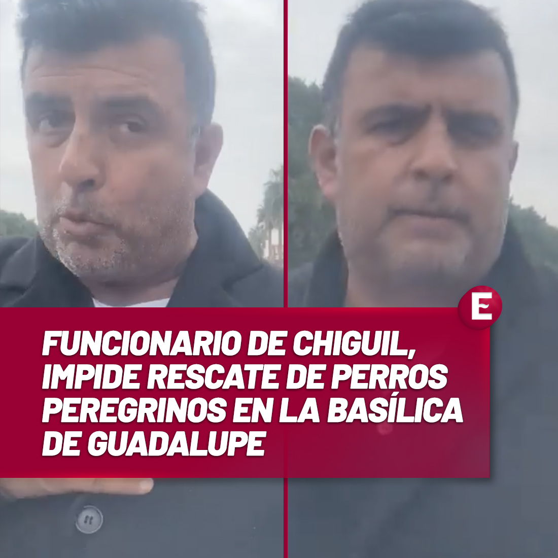🚨🐶 Jorge Ríos, subdirector de Mercados y Vía Pública de la GAM, trató de impedir a la asociación Mundo Patitas rescatar a los perritos que son abandonados en la Basílica de Guadalupe.

▶️ Checa todos los detalles aquí: goo.su/G7o7yKg