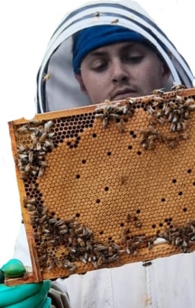 Chris Manton (@elmtreebees) on Twitter photo Sad night as a truly talented beekeeper departs for new adventures.
Wish you all the best <a href="/Joshuawfrazer/">Josh Frazer</a> Sad night as a truly talented beekeeper departs for new adventures.
Wish you all the best <a href="/Joshuawfrazer/">Josh Frazer</a>