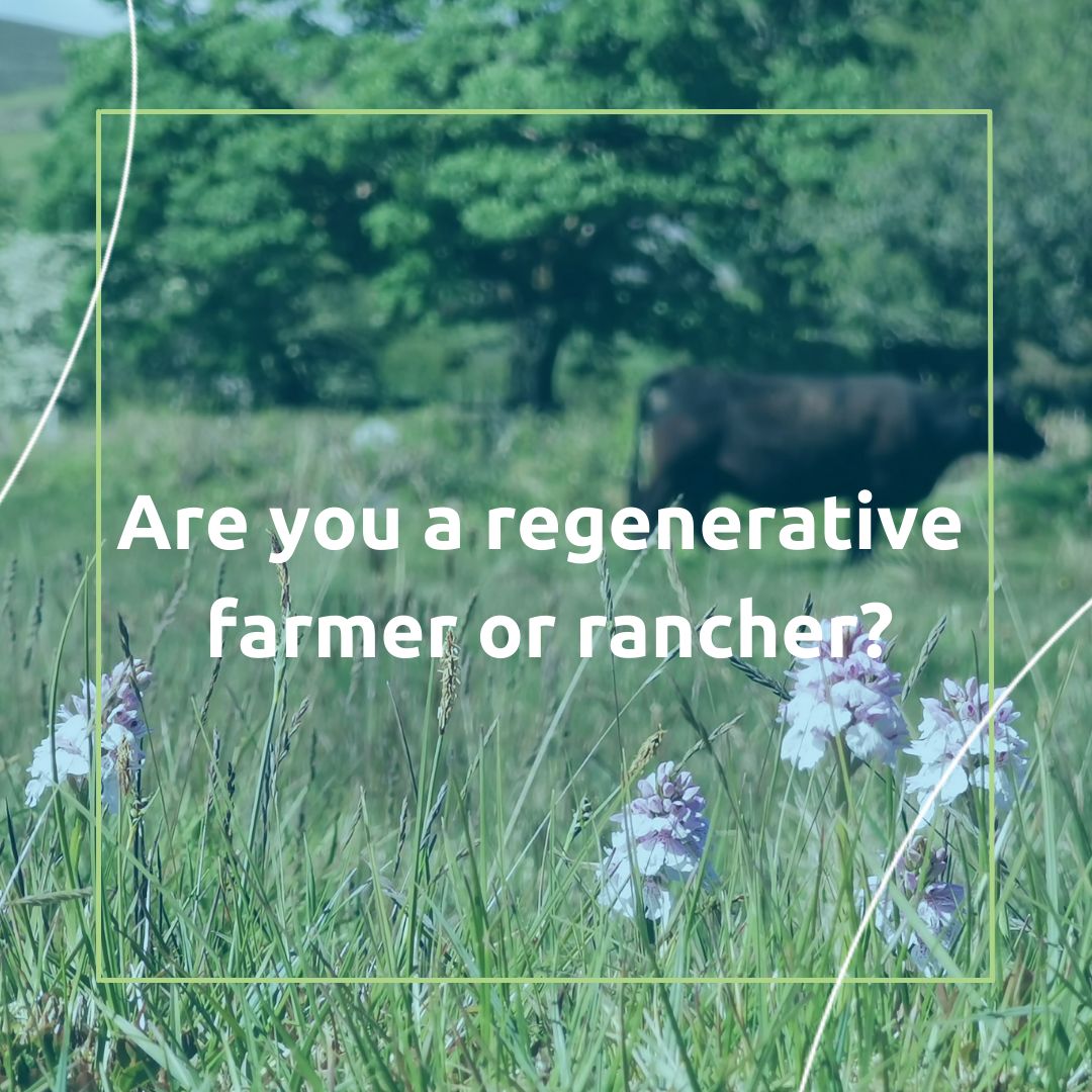 Don't miss out on this exciting opportunity! Stay updated and be the first to enroll in @AGreenerWorld, @rafiusa, and @soil_institute's USDA-funded project. Start your journey towards #ClimateSmart, #regenerative farming.🌱🌞 agreenerworld.org/climate-smart/