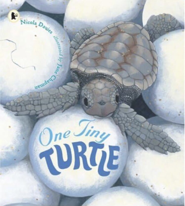 @bookwagonuk @WendyMeddour @adaninabila_ @OtterBarryBooks This one is causing a debate! I say Yertle the Turtle but my girls say One Tiny Turtle by @nicolakidsbooks and Jane Chapman.