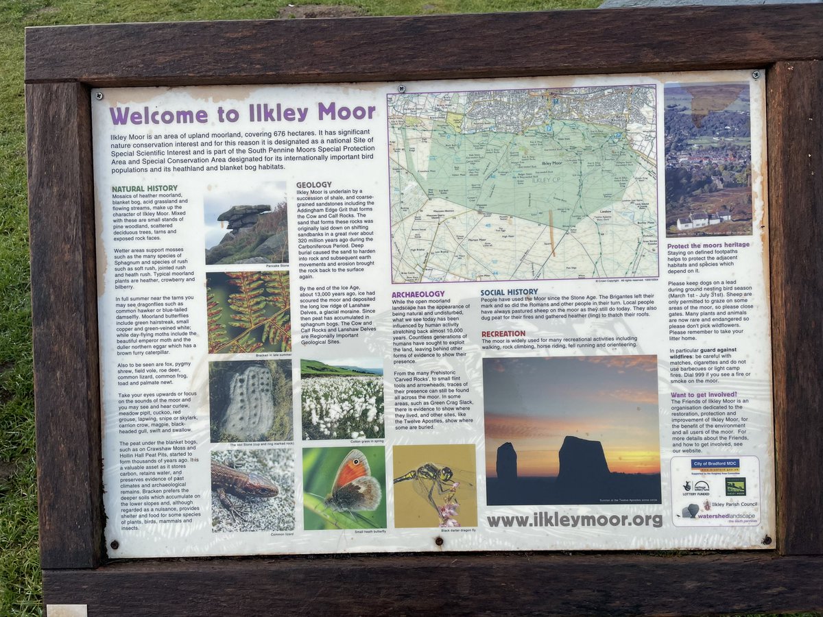 RunRonRun58's tweet photo. Ilkley moor mooch https://t.co/830gdCtOkI