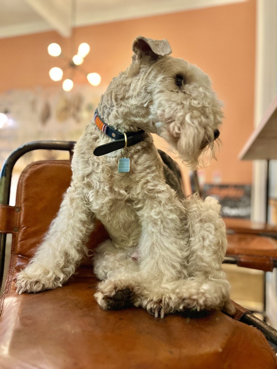Bertie Lakeland tweet media