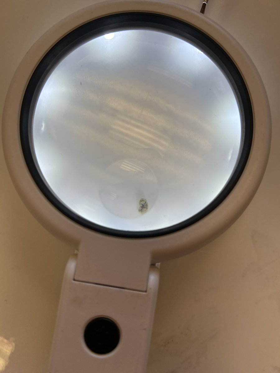 FCSreader's tweet image. Last tweet from @FranklintonMS I promise!  The left is what they’re seeing under the magnifying glass.  The right side is the view from the Microeye!  Doesn’t that look like a starfish?