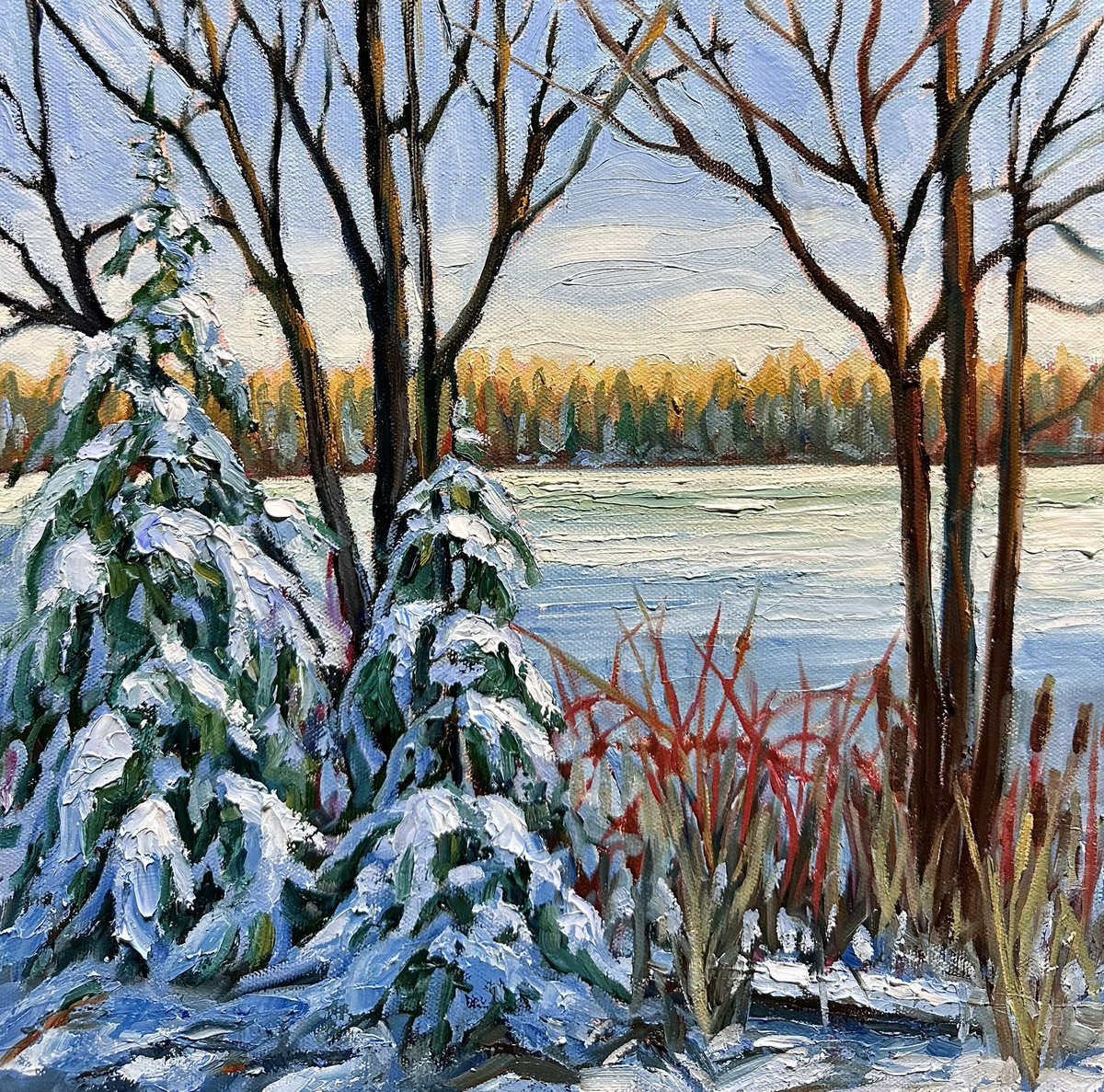 A favourite scene I’ve painted a few times. Never the same twice. Hoping for a big snowfall soon. Well any snow …just no more mud! Winter Wonderland 12x12” oil #WinterVibes #art