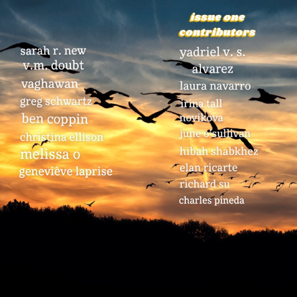 The Periwinkle Pelican tweet media