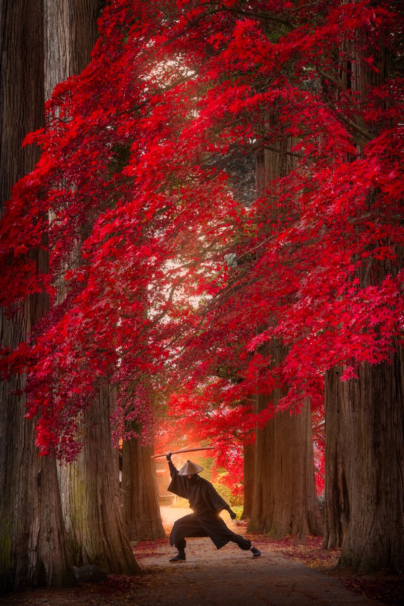 © A monk in Japan 🇯🇵 by Albert Dros Photography