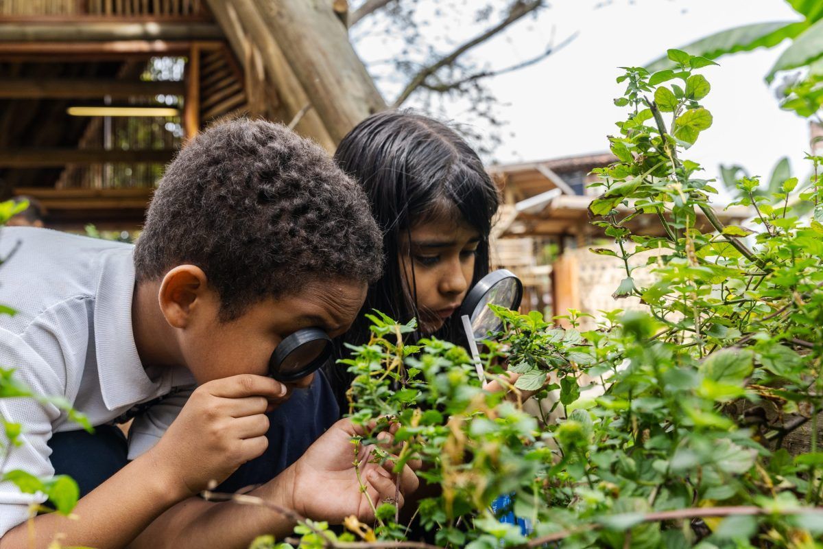 When your classroom is a garden 

By @arielgilreath for @hechingerreport ~ hechingerreport.org/when-your-clas… 

#TeacherTwitter #K12Education