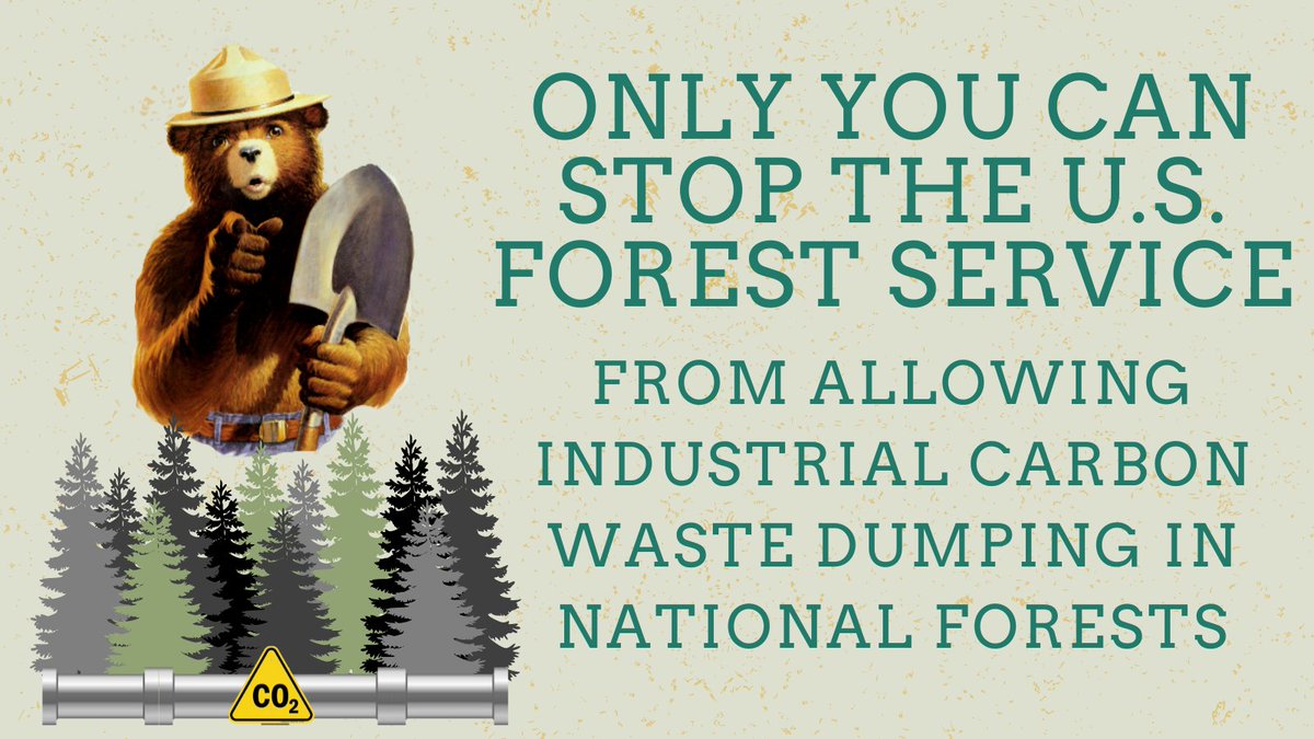 Omg the U.S. Forest Service wants to allow carbon waste dumping in our forests???????????????????

Not on our watch! Join us and urge @forestservice to scrap this dangerous #CarbonDumpingScheme 👇👇
biodiv.us/3SFv3mP