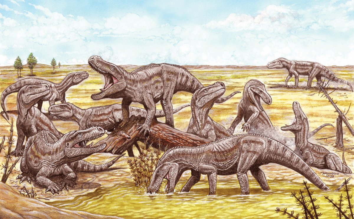 Bone histology supports gregarious behavior and an early ontogenetic stage to Decuriasuchus quartacolonia from the Middle-Late #Triassic of Brazil.
New research by Farias et al.:  doi.org/10.1002/ar.253…
Reconstruction by  Maurilio Oliveira
#FossilFriday