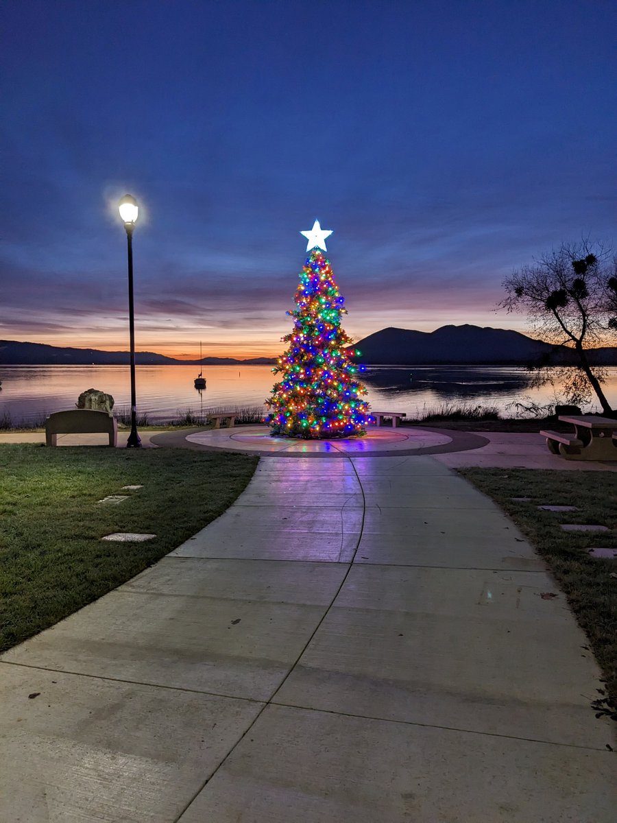 CityofLakeport's tweet image. A beautiful lighted #Christmas tree was installed yesterday at Xabatin Community Park! We think it looks amazing! Big thank you to LC District 4 Supervisor Michael Green &amp;amp; #LakeportCA Mayor Stacey Mattina for their efforts in bringing this wonderful holiday display to the park!