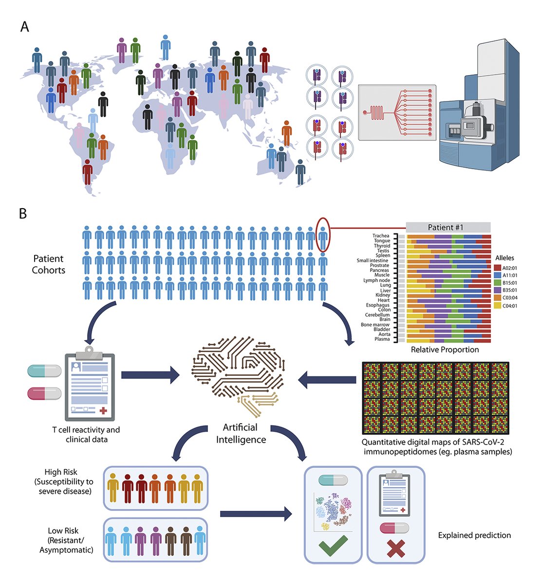 Journal of Experimental Medicine (@jexpmed) on Twitter photo Kapoor, Marรฉchal, Sirois & Caron <a href="/YaleMed/">Yale School of Medicine</a> <a href="/ChuSteJustine/">CHU Sainte-Justine</a> present bold ideas, fresh arguments, & call upon industrial partners & funding organizations to scale up the robust #immunopeptidomics technologies for a global T cell surveillance digital network: bit.ly/46DHPW0 Kapoor, Marรฉchal, Sirois & Caron <a href="/YaleMed/">Yale School of Medicine</a> <a href="/ChuSteJustine/">CHU Sainte-Justine</a> present bold ideas, fresh arguments, & call upon industrial partners & funding organizations to scale up the robust #immunopeptidomics technologies for a global T cell surveillance digital network: bit.ly/46DHPW0