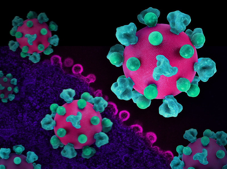 A new #NIAID study, published in Science, shows strong responses from immune cells called CD8+ T cells may play a key role in an effective #HIV #vaccine. This study could guide development of future HIV vaccines and immunotherapy approaches. Read more: go.nih.gov/kTVpcAp