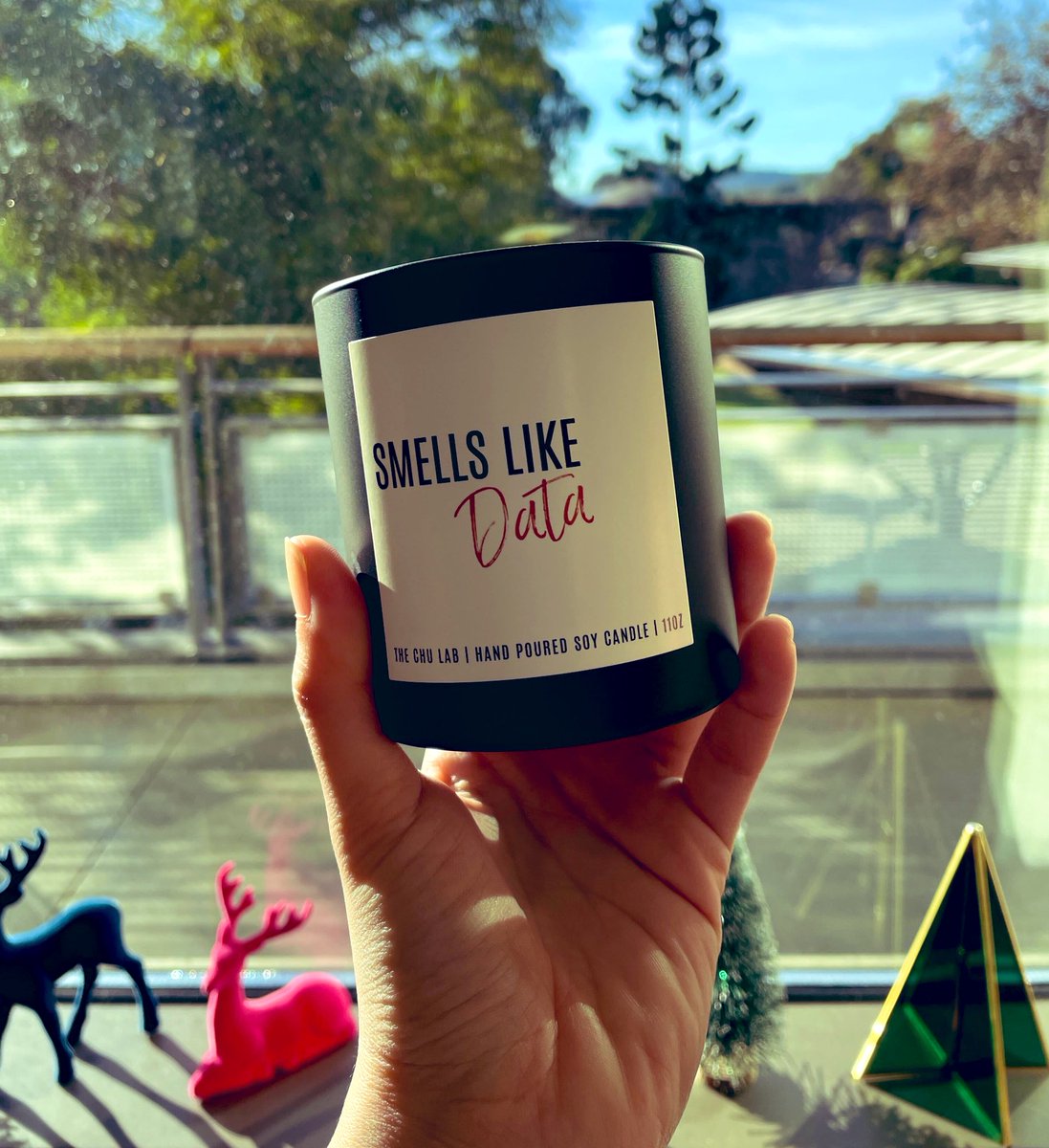 14 de Diciembre❄️🎄 & the lab smells like data…🕯️🩶😍