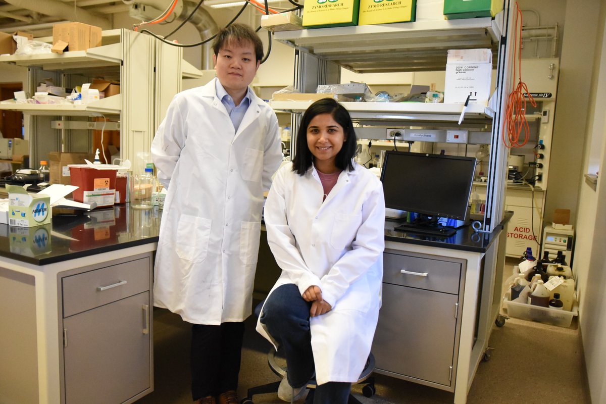 Cancer Center at Illinois (@cancercenteril) on Twitter photo Research from <a href="/UofIllinois/">University of Illinois</a> shows a new cancer vaccine holds the potential to help patients receive personalized treatment.
👉Get the details: bit.ly/3RGPJd0
#CancerResearch <a href="/WangLabUIUC/">Hua Wang</a> <a href="/CEEatIllinois/">CEE at Illinois</a> @IllinoisMatSE <a href="/ILLINOISmed/">Carle Illinois Med</a> <a href="/MCB_Illinois/">U of I School of Molecular and Cellular Biology</a> <a href="/NCSAatIllinois/">NCSAatIllinois</a> Research from <a href="/UofIllinois/">University of Illinois</a> shows a new cancer vaccine holds the potential to help patients receive personalized treatment.
👉Get the details: bit.ly/3RGPJd0
#CancerResearch <a href="/WangLabUIUC/">Hua Wang</a> <a href="/CEEatIllinois/">CEE at Illinois</a> @IllinoisMatSE <a href="/ILLINOISmed/">Carle Illinois Med</a> <a href="/MCB_Illinois/">U of I School of Molecular and Cellular Biology</a> <a href="/NCSAatIllinois/">NCSAatIllinois</a>
