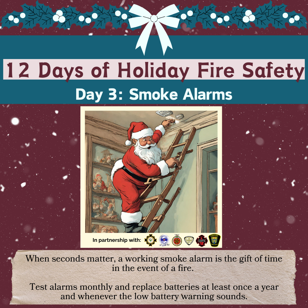 FIRE: 'Tis the season - literally! Fatal fires are at their highest rate during the holidays. When seconds matter, a working smoke alarm is the gift of time in the event of a fire.