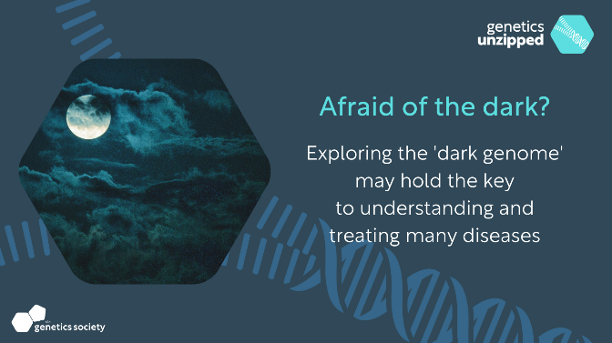 🔦 Genetics Unzipped – Afraid of the dark? Our CEO & Founder @DM_Jeziorska is a guest on the latest episode of #genetics Unzipped with Kat Arney, which is now online and ready for you to tune in! 👉 You can listen to the podcast here: geneticsunzipped.com/blog/2023/14/1…