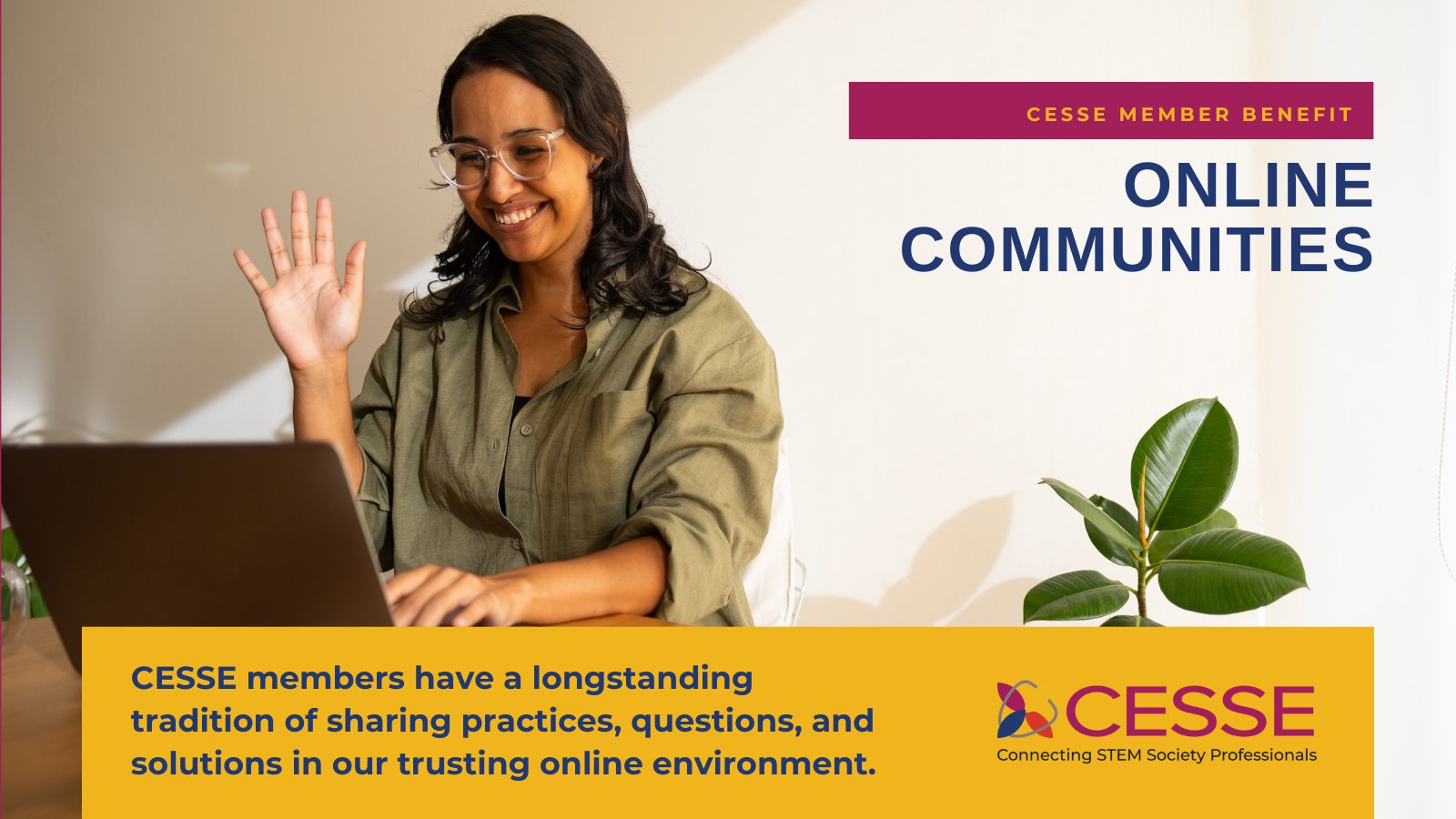 CESSE - Connecting STEM Society Professionals